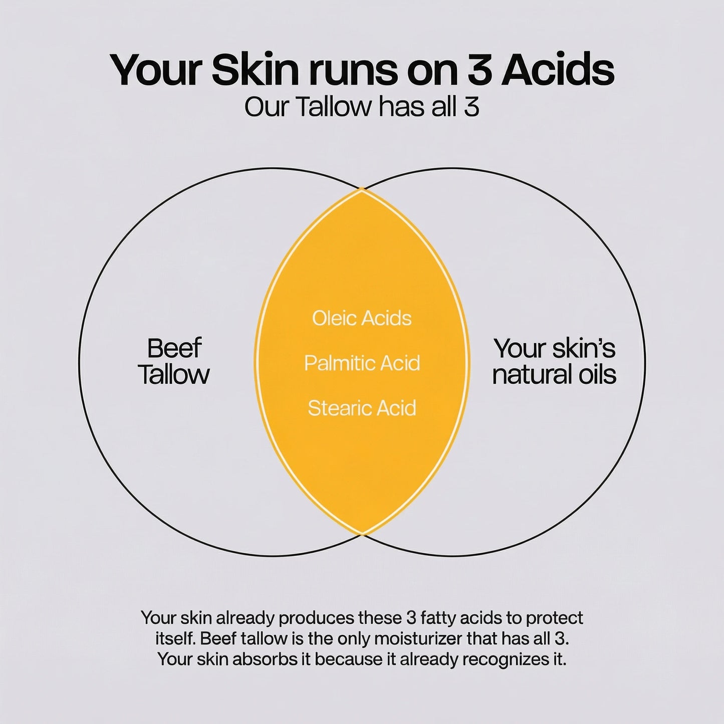 ELORA™ Whipped Tallow Peptide Cream
