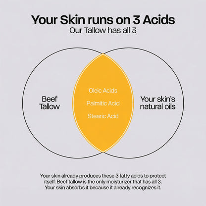 ELORA™ Whipped Tallow Peptide Cream